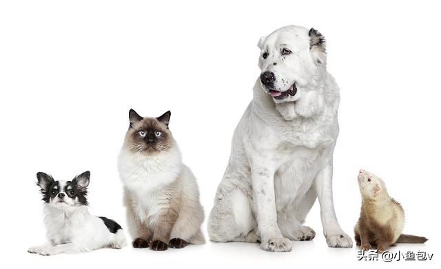 20221125122004_95634