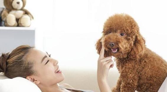 20221125123025_79999