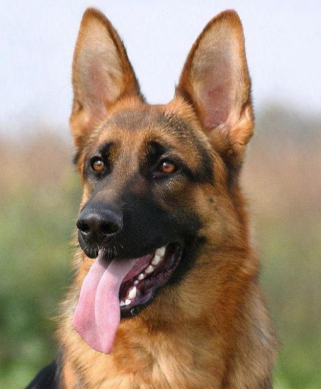 20221125123026_43206