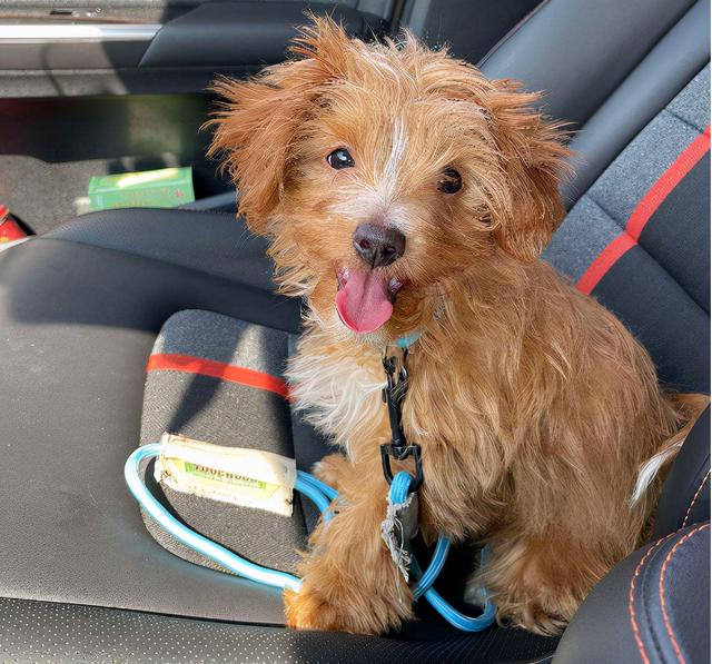 20221125123458_64996