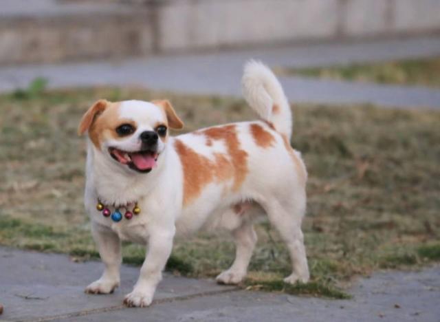 20221125123459_17643