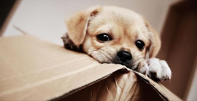 20221125125024_38818 20221125125024_38818