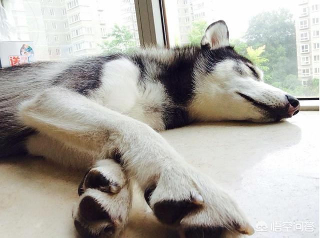 20221125125346_71915 20221125125346_71915