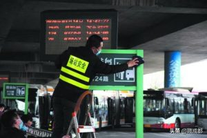 成都灰狗运业董事长(成都灰狗运业倒闭了吗)-警犬训练器材厂家 _警犬训练用品_工作犬训练用品-南京开久警犬装备