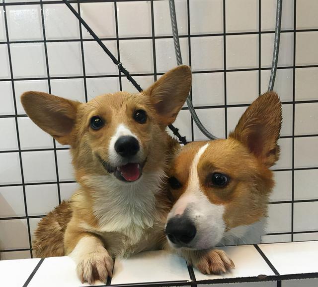 20221125130542_83681 20221125130542_83681