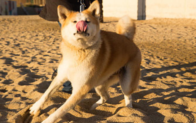 20221125131423_92739