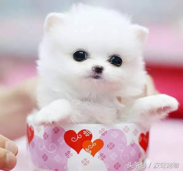 20221125132056_45432 20221125132056_45432