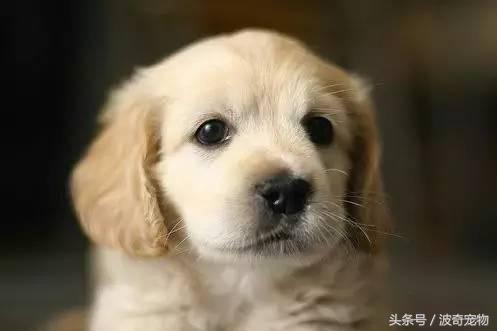 20221125132057_74117 20221125132057_74117