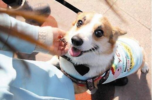 20221125134114_56878