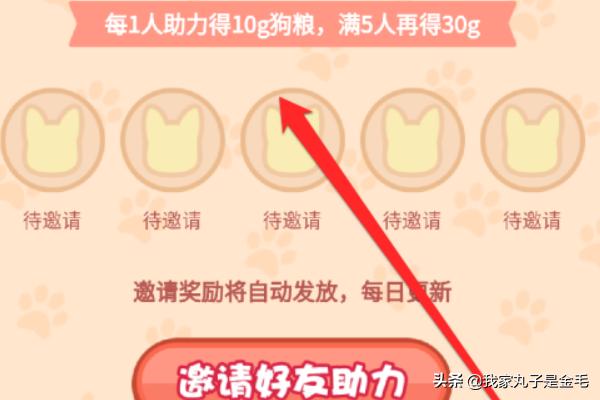 20221125134624_20302