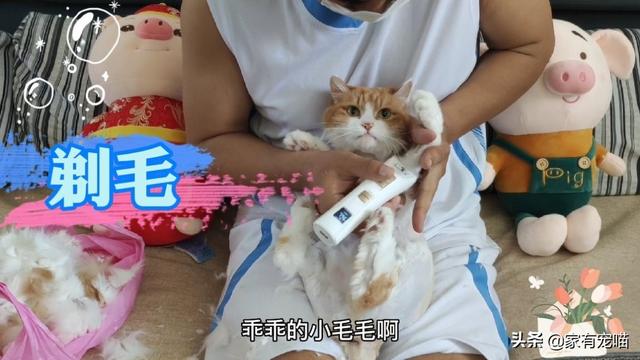 20221125134625_51708