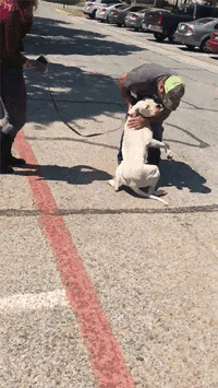 20221125134654_17255