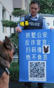 最新狗狗资讯(狗狗币最新情况)-警犬训练器材厂家 _警犬训练用品_工作犬训练用品-南京开久警犬装备