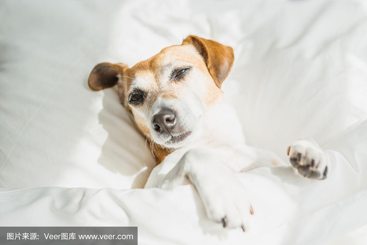 20221125140312_96630 20221125140312_96630