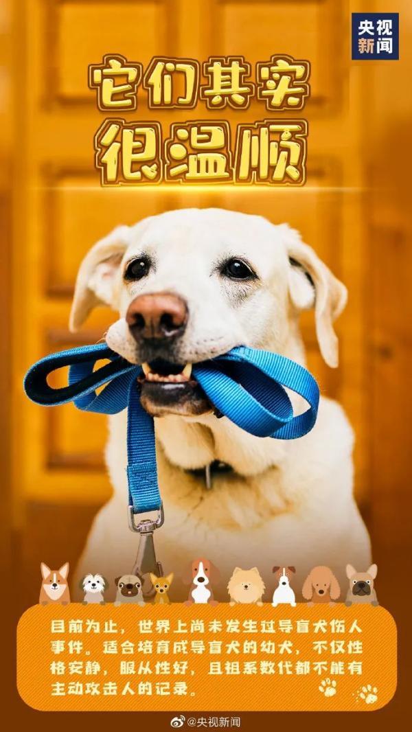 20221125143418_76165 20221125143418_76165