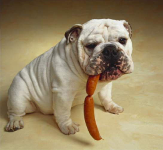 20221125152140_36023 20221125152140_36023