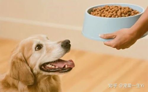 20221125152141_62893 20221125152141_62893