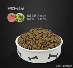 哈士奇吃什么狗粮好(哈士奇三个月吃什么狗粮)-警犬训练器材厂家 _警犬训练用品_工作犬训练用品-南京开久警犬装备