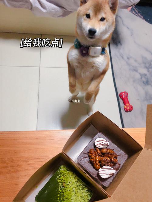 20221125164949_67398 20221125164949_67398