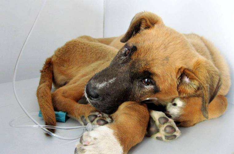 20221125170212_34579 20221125170212_34579