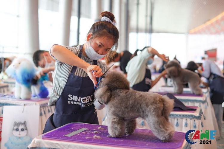 20221125171247_10653 20221125171247_10653