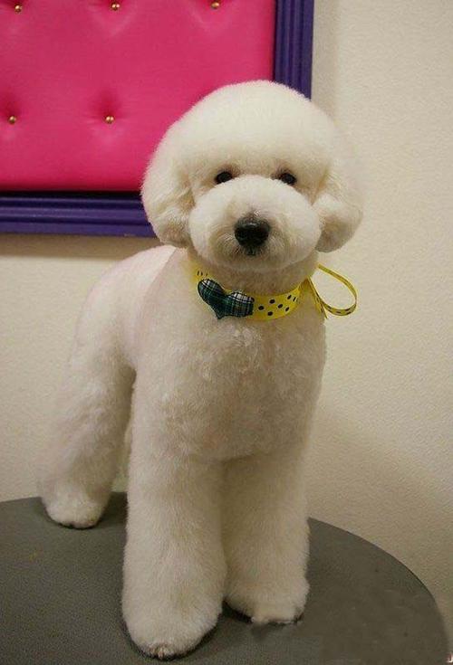 20221125171247_11904 20221125171247_11904