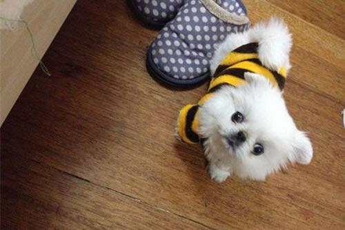 20221125173259_33428