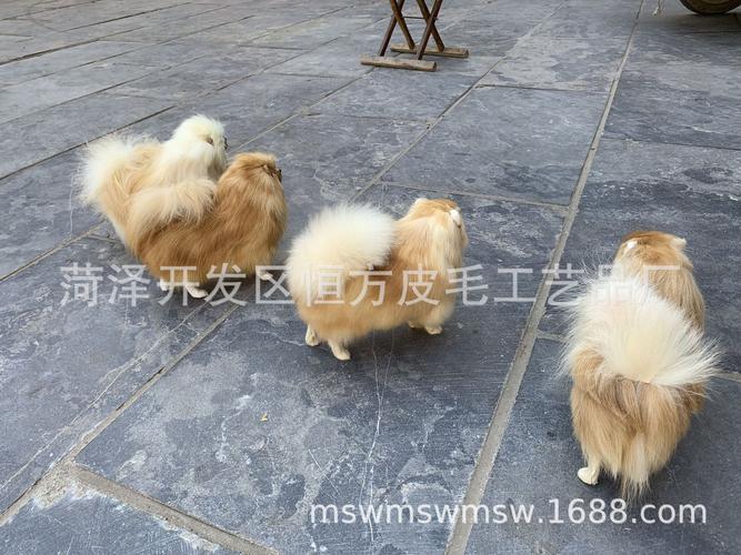 京巴狗的特点(京巴狗的外貌特点) - 警犬训练器材厂家 _警犬训练用品_工作犬训练用品-南京开久警犬装备-警犬训练器材厂家 _警犬训练用品_工作犬训练用品-南京开久警犬装备