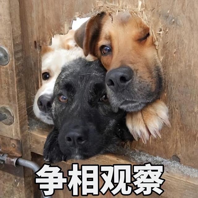 20221125180657_51078