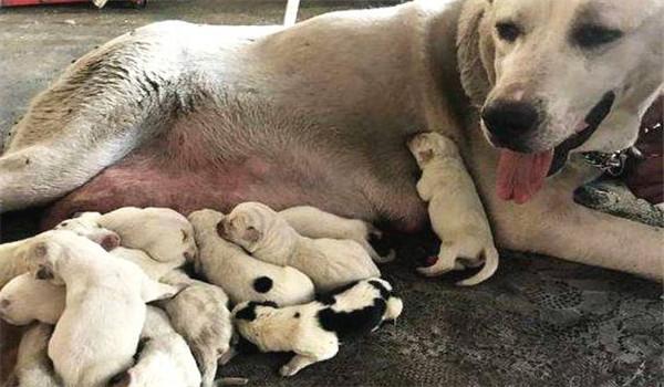 20221125181256_81943