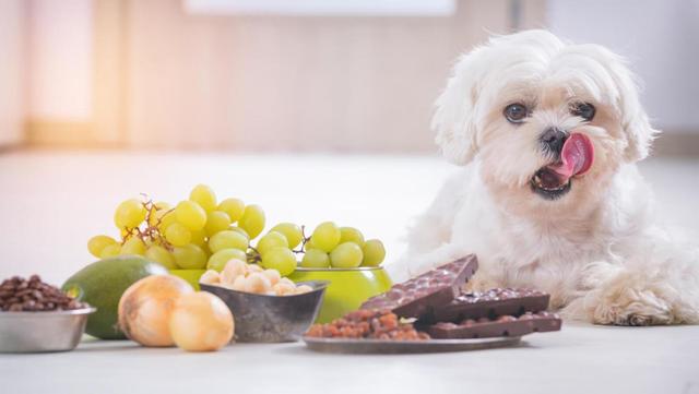 20221125181438_81048