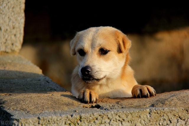 20221125181714_50380