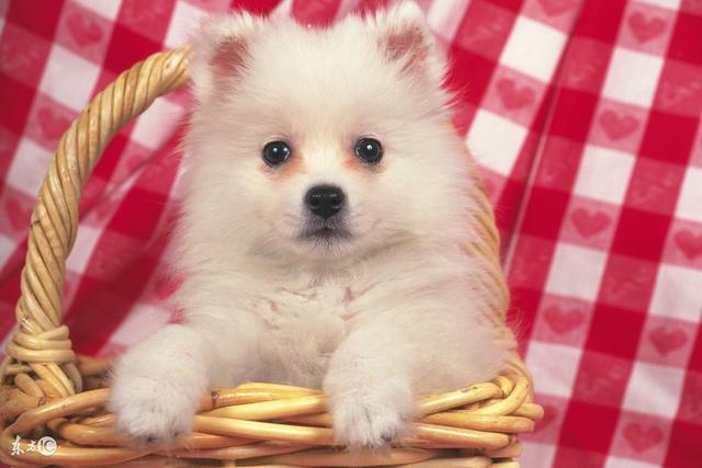 20221125181742_61936