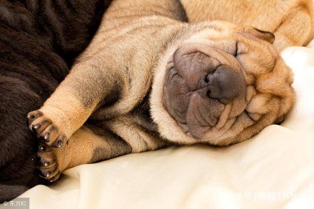 20221125182627_38977