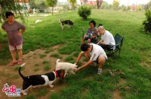 北京可以带狗的公园市区(北京让带狗的公园)-警犬训练器材厂家 _警犬训练用品_工作犬训练用品-南京开久警犬装备