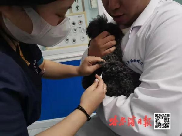 20221125200429_66148 20221125200429_66148