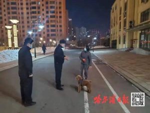 哈尔滨犬只管理条例(杭州犬只管理条例)-警犬训练器材厂家 _警犬训练用品_工作犬训练用品-南京开久警犬装备