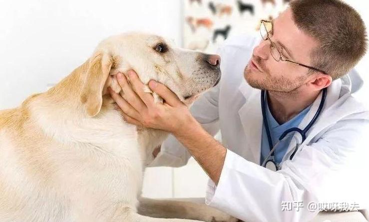 20221125201029_11490