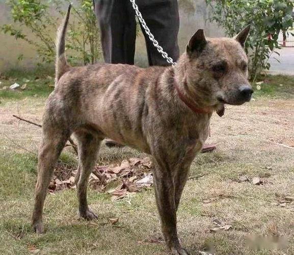 20221125201122_20930 20221125201122_20930