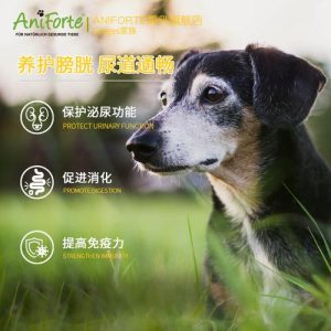 狗前列腺肿大怎么治疗(狗前列腺肿大什么症状)-警犬训练器材厂家 _警犬训练用品_工作犬训练用品-南京开久警犬装备