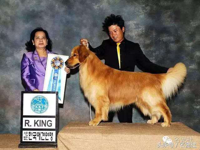 20221125210419_89263 20221125210419_89263