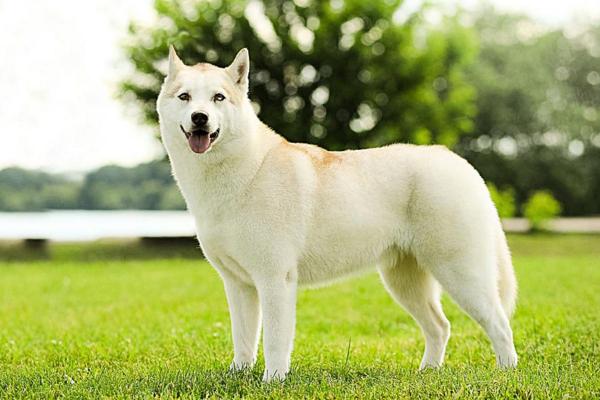 20221126132622_73668 20221126132622_73668