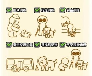 中国一共有多少只导盲犬(中国一共有多少只猴子)-警犬训练器材厂家 _警犬训练用品_工作犬训练用品-南京开久警犬装备