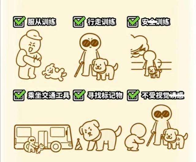 中国一共有多少只导盲犬(中国一共有多少只猴子) - 警犬训练器材厂家 _警犬训练用品_工作犬训练用品-南京开久警犬装备-警犬训练器材厂家 _警犬训练用品_工作犬训练用品-南京开久警犬装备