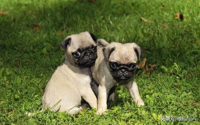 20221126180711_31112 20221126180711_31112