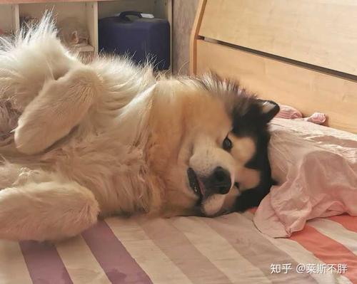 20221126182807_48579 20221126182807_48579