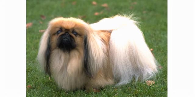 20221126184954_29356 20221126184954_29356