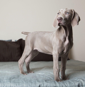 20221126185334_18807