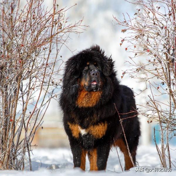 20221126211112_30121