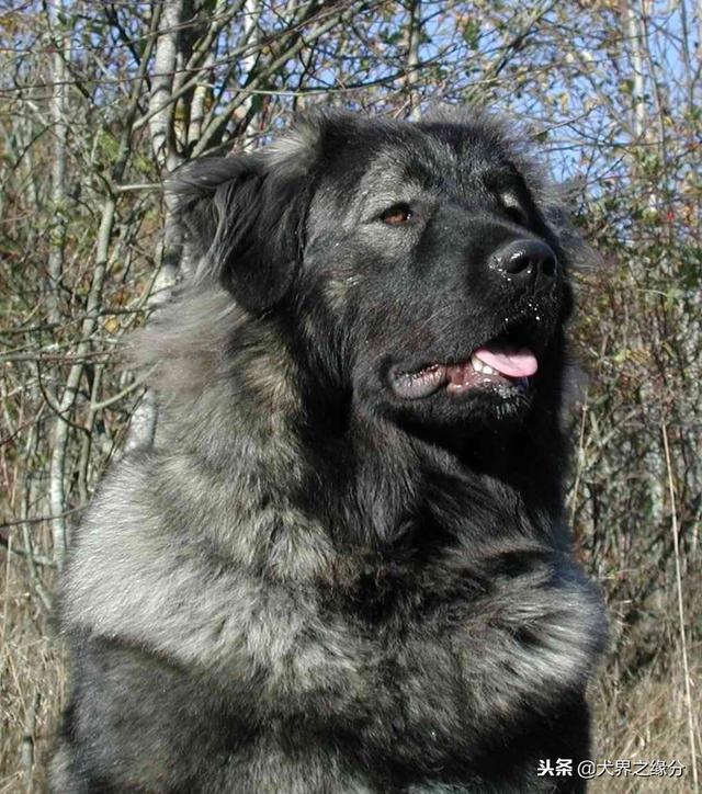 20221126211112_57379